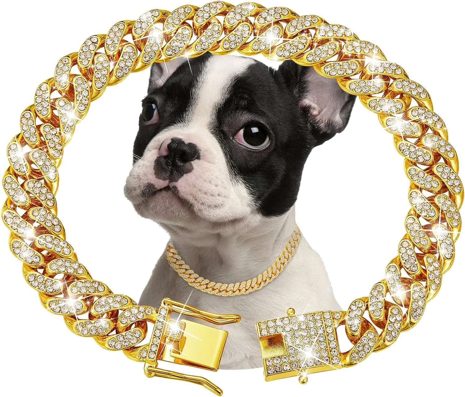 dog collar for dogs — packaging or accessories view