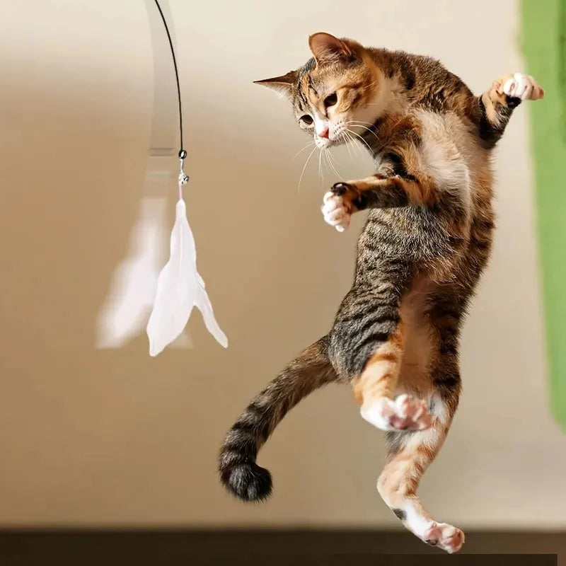 pet toy: additional product view (CellosPets)