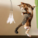 pet toy: additional product view (CellosPets)