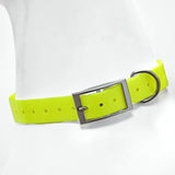 dog collar: feature highlight (CellosPets)