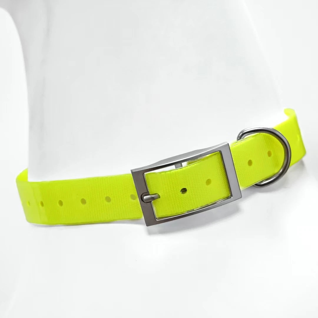dog collar: feature highlight (CellosPets)