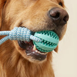 pet toy: side angle (CellosPets)