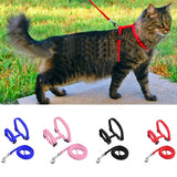 dog collar for dogs and cats — main product photo