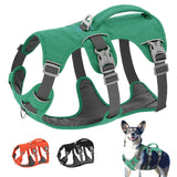 pet harness for dogs — main product photo