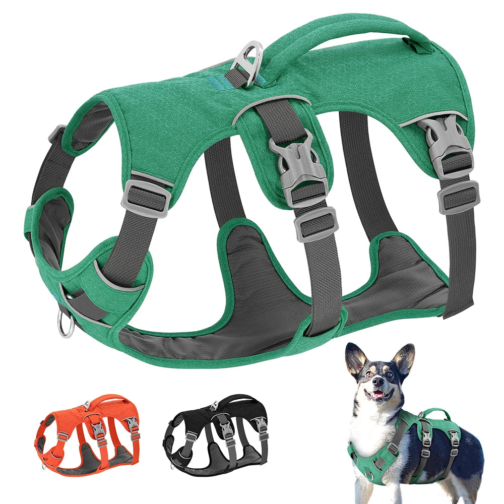 pet harness for dogs — main product photo