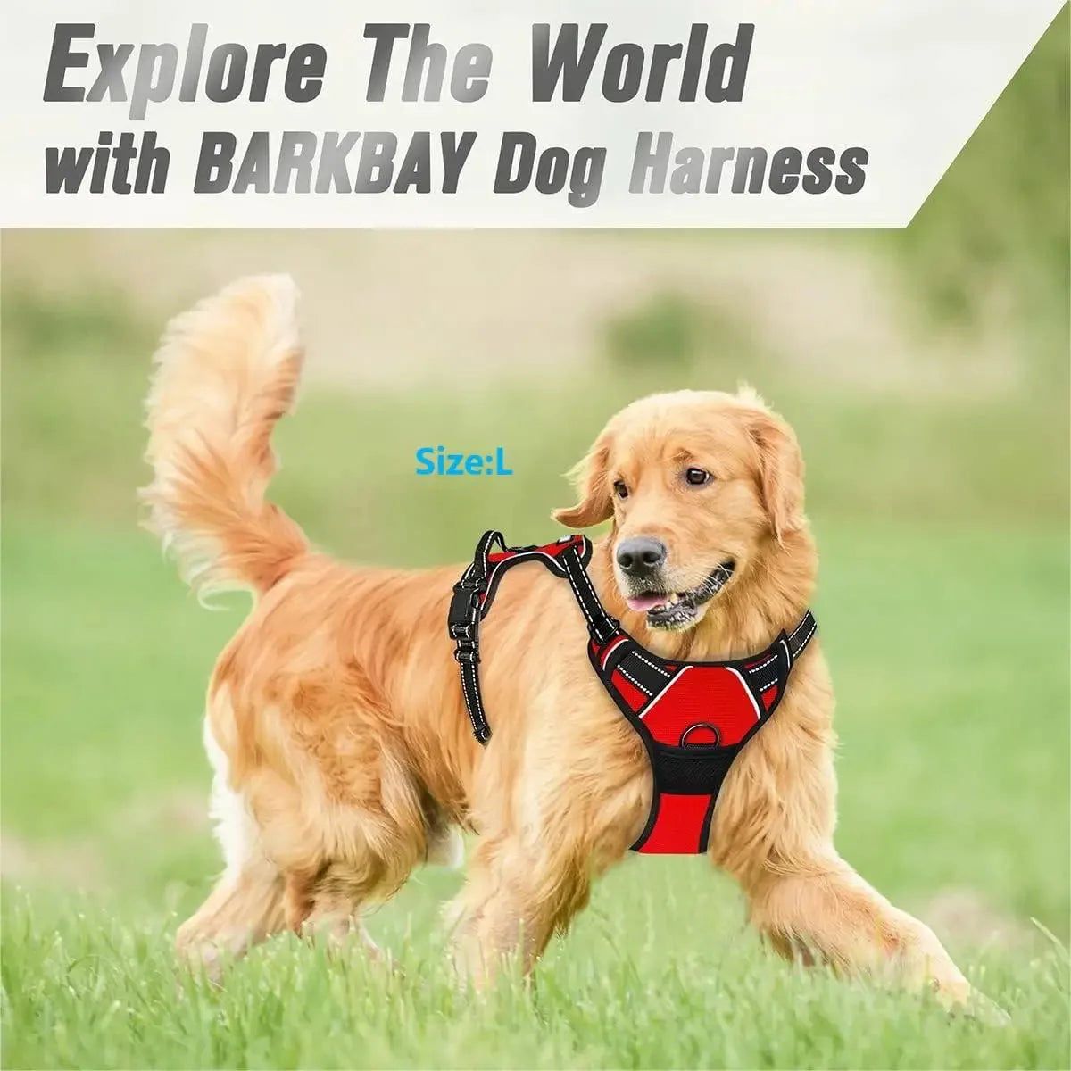 pet harness: side angle (CellosPets)