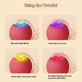 Rechargeable Automatic Rolling Ball Cat Toy – Fake Tail, Imitate Mouse, Electric Interactive for Cats & Dogs — imagem 6