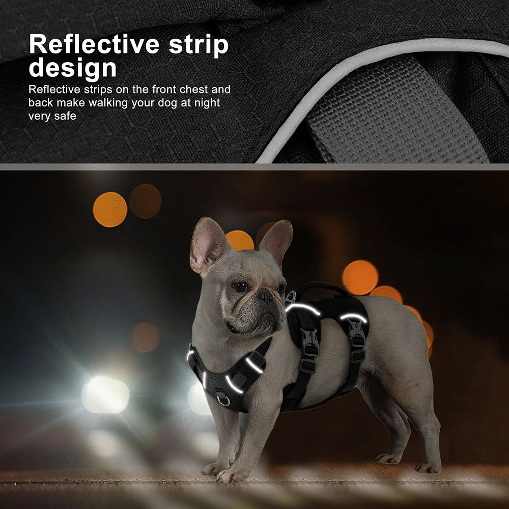 pet harness: side angle (CellosPets)