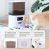 5l Double Bowls Smart Automatic Cat Feeder With — in-use context for dogs and cats