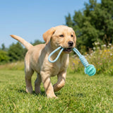 pet toy for dogs — main product photo