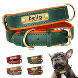 dog collar for dogs — main product photo