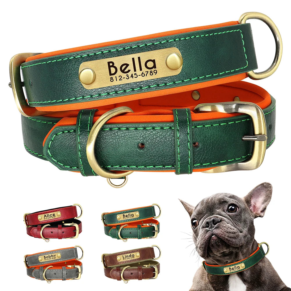 dog collar for dogs — main product photo