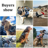Personalized Dog Harness no PULL Reflective — in-use context for dogs
