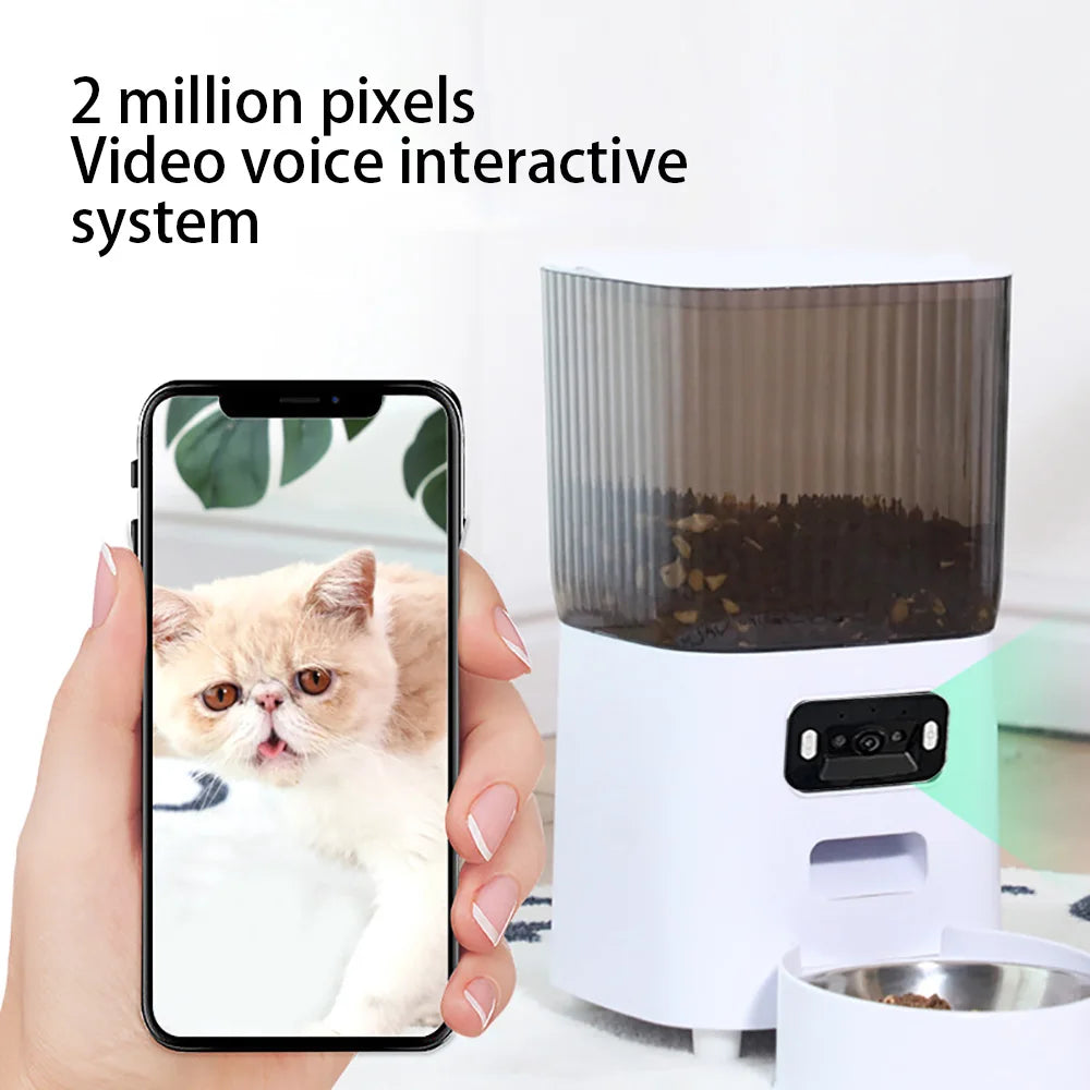 automatic pet feeder for dogs and cats — main product photo