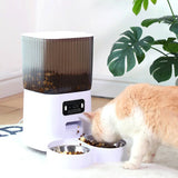 automatic pet feeder: side angle (CellosPets)