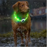 dog collar: additional product view (CellosPets)