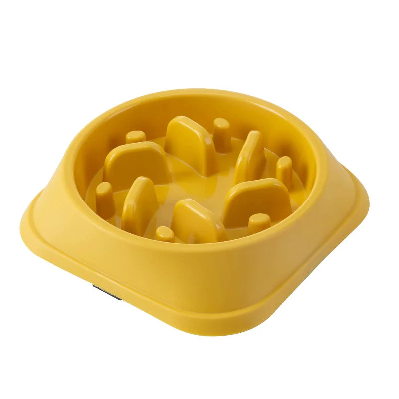 Pet Cat Dog Slow Food Bowl Fat Help Healthy — in-use context for dogs and cats