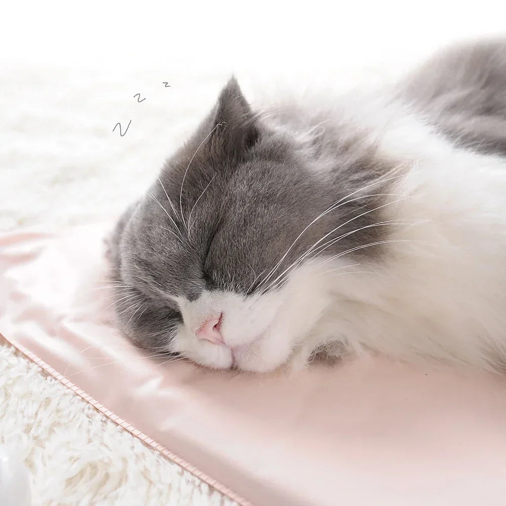 pet product: side angle (CellosPets)