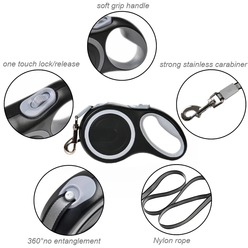 dog collar for dogs — close-up of materials