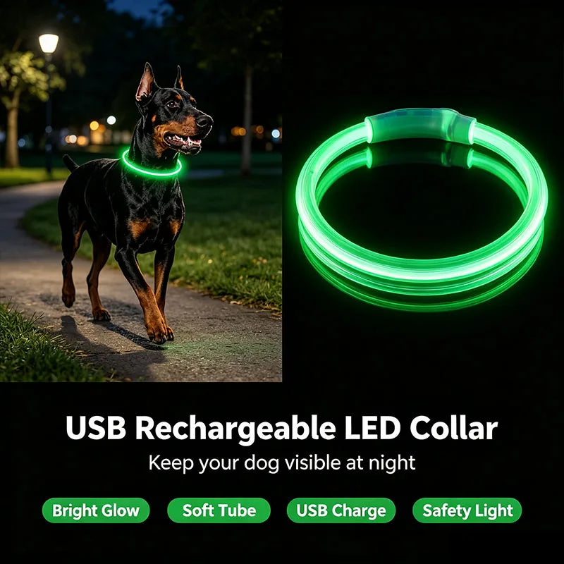 USB Rechargeable Pet Glowing Collar Dog LED — detail view for dogs