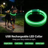 USB Rechargeable Pet Glowing Collar Dog LED — detail view for dogs