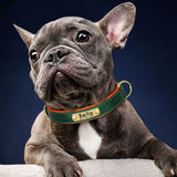 Customized pu Leather Nameplate Dog Collar Soft — detail view for dogs