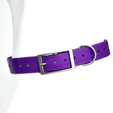 dog collar for dogs — full product shot