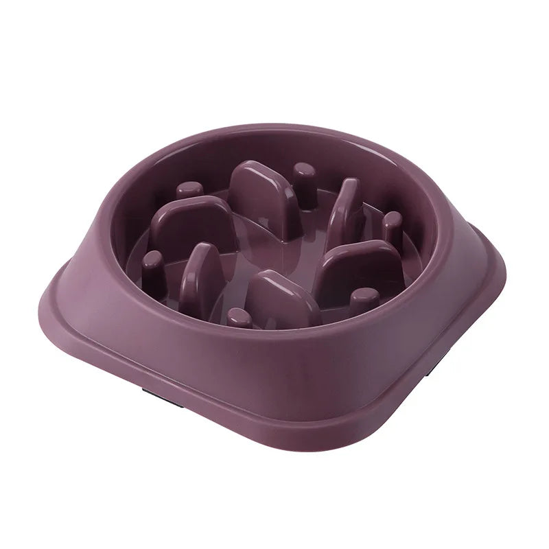 pet bowl for dogs and cats — full product shot