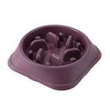 pet bowl for dogs and cats — full product shot