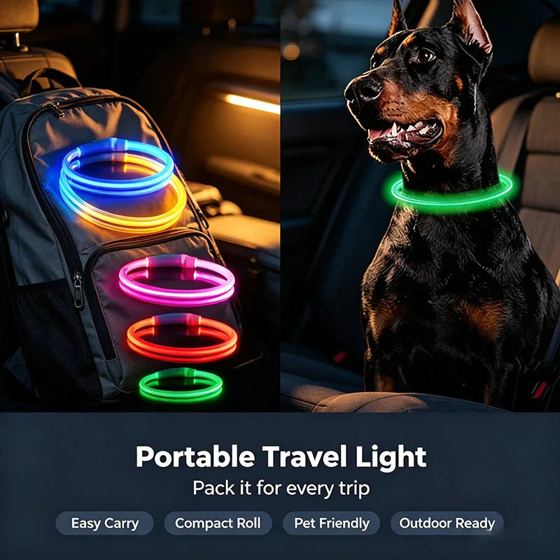 dog collar for dogs — main product photo