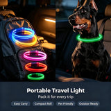 dog collar for dogs — main product photo