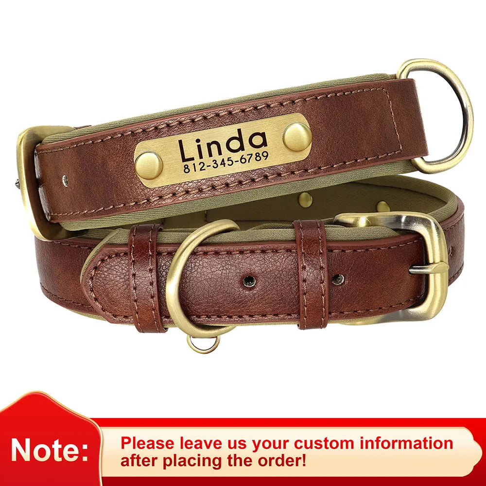 dog collar for dogs — packaging or accessories view