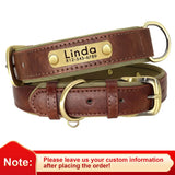dog collar for dogs — packaging or accessories view