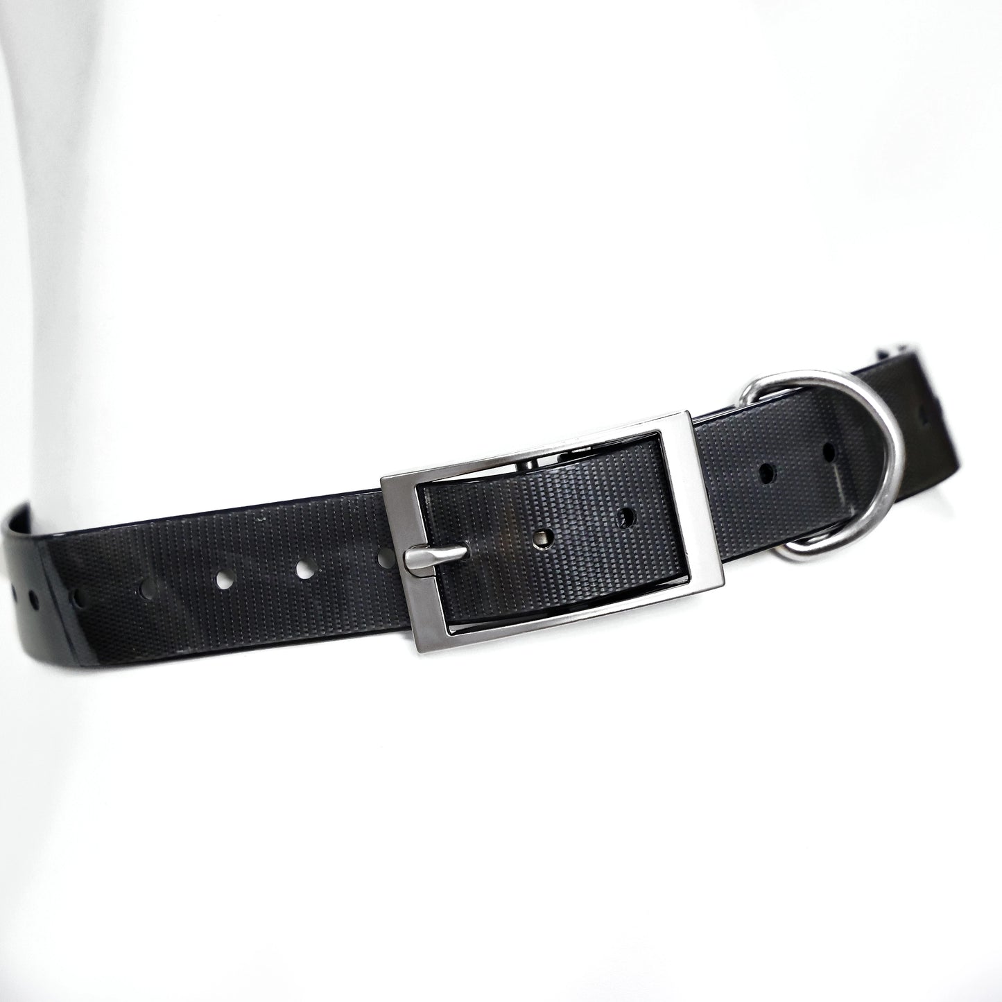 2.5cm Wide Heavy Duty TPU Dog Collar Waterproof — detail view for dogs