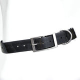 2.5cm Wide Heavy Duty TPU Dog Collar Waterproof — detail view for dogs