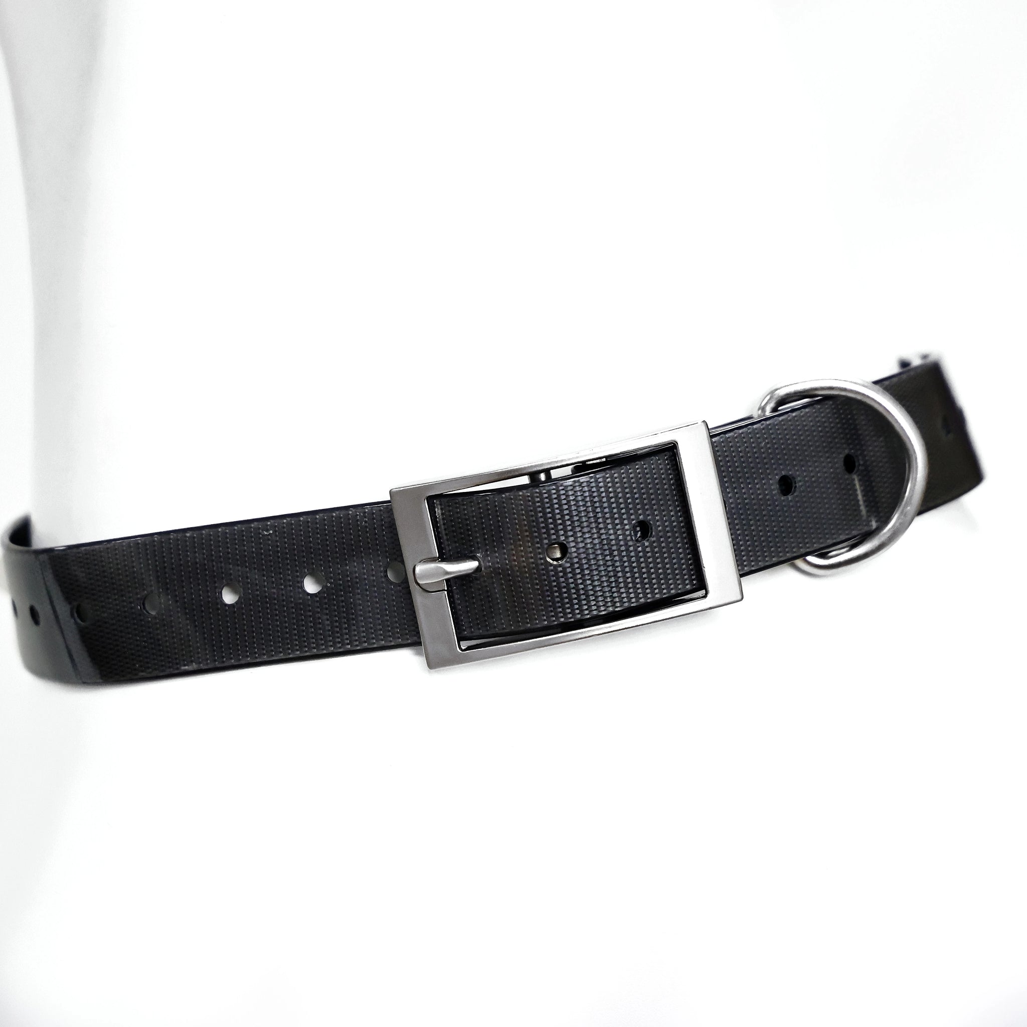 2.5cm Wide Heavy Duty TPU Dog Collar Waterproof — detail view for dogs