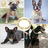 dog collar for dogs — close-up of materials