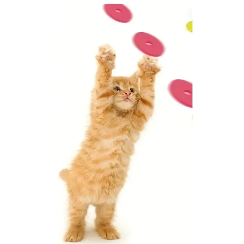 pet product: side angle (CellosPets)