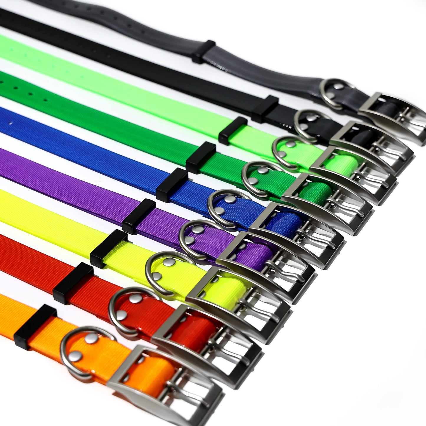 2.5cm Wide Heavy Duty TPU Dog Collar Waterproof — detail view for dogs