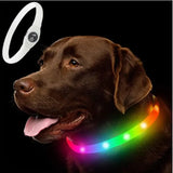 dog collar for dogs — main product photo