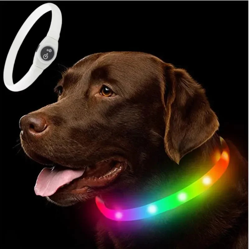 dog collar for dogs — main product photo