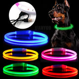 USB Rechargeable Pet Glowing Collar Dog LED — in-use context for dogs