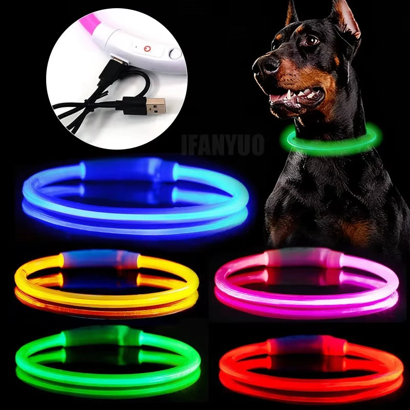 USB Rechargeable Pet Glowing Collar Dog LED — in-use context for dogs
