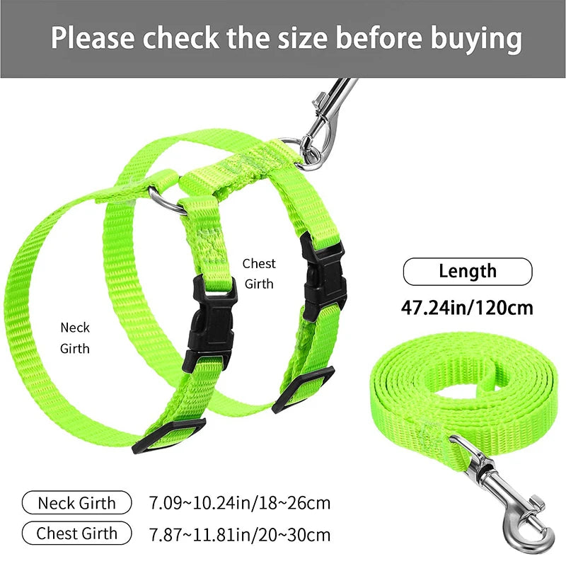 Adjustable Pet Cat Collar For Cats Cozy Nylon — in-use context for dogs and cats