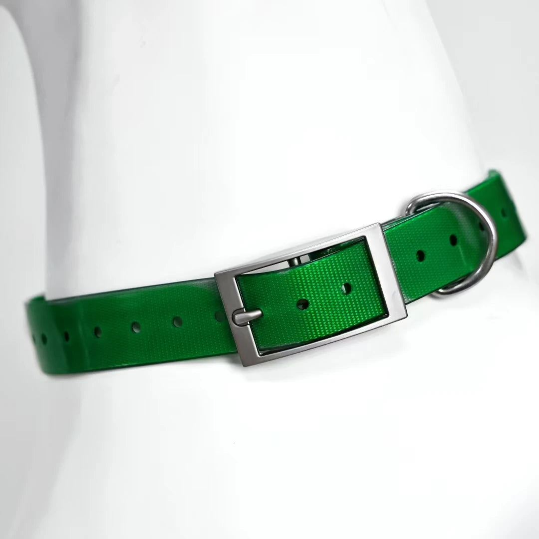 dog collar: extra gallery photo (CellosPets)