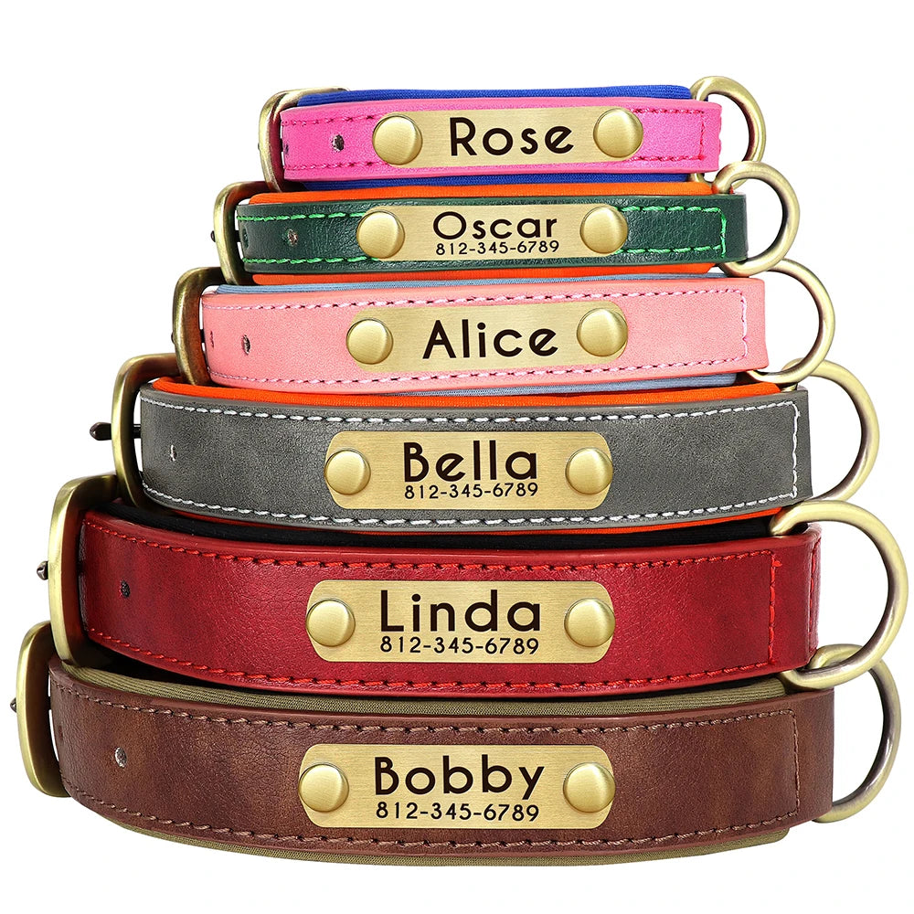 dog collar: side angle (CellosPets)