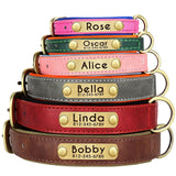 dog collar: side angle (CellosPets)