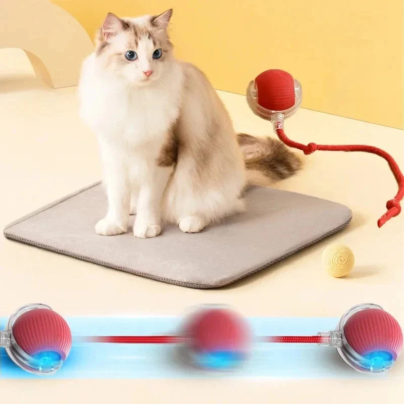 Rechargeable Automatic Rolling Ball Cat Toy – Fake Tail, Imitate Mouse, Electric Interactive for Cats & Dogs — imagem 2