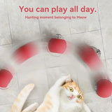 Rechargeable Automatic Rolling Ball Cat Toy – Fake Tail, Imitate Mouse, Electric Interactive for Cats & Dogs — imagem 3