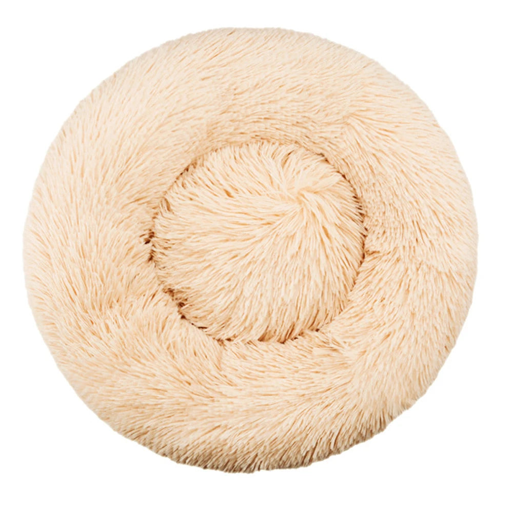 pet bed: side angle (CellosPets)